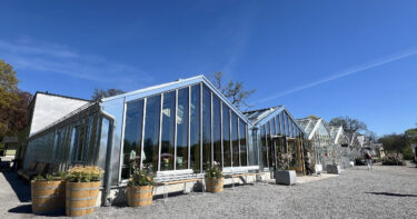 de nya byggnaderna i Rosendals trädgård som ser ut som växthus