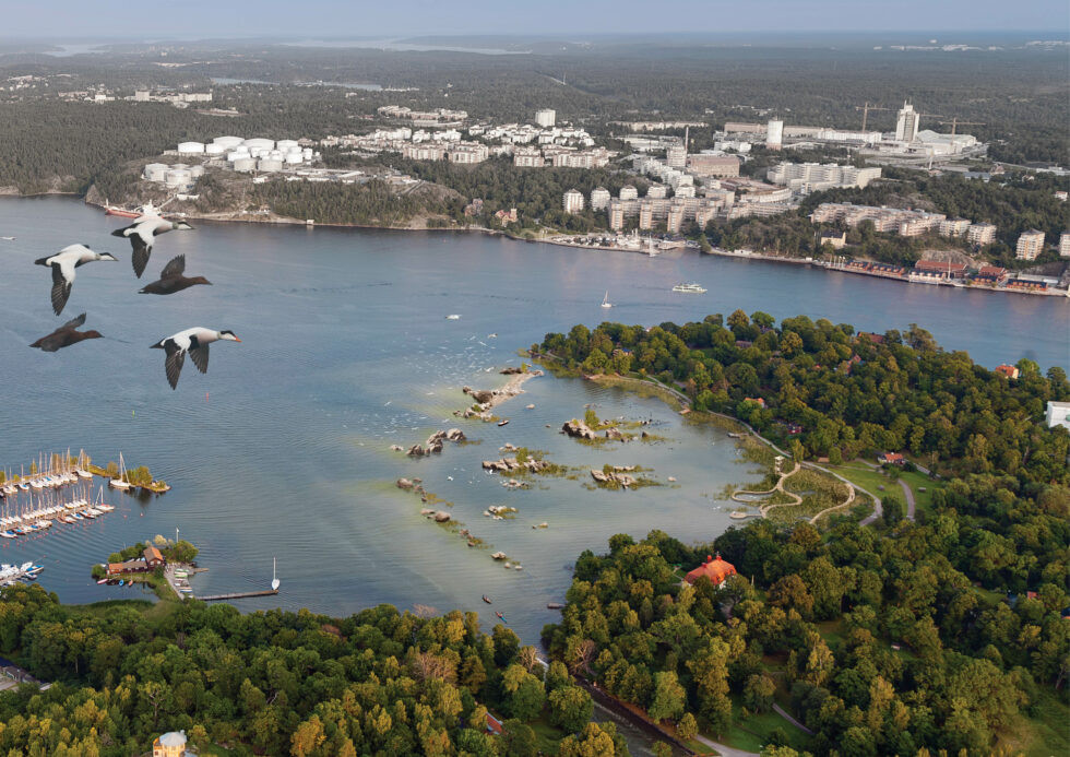 Visionsbild för Isbladsviken på Södra Djurgården där planen är att bygga ett S-format rev i viken som ger goda förutsättningar för ett rikt fisk- och fågelliv.