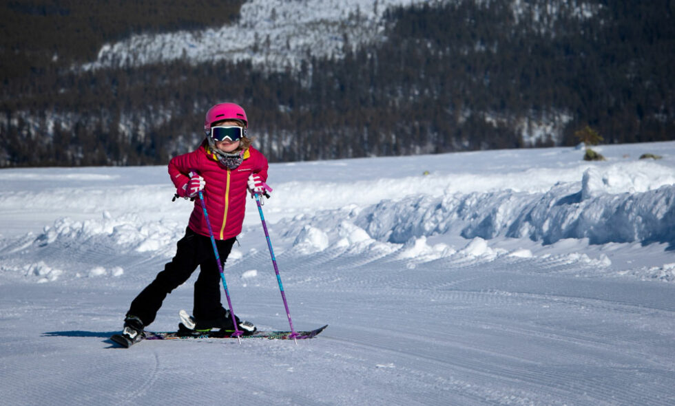 Skidanläggning