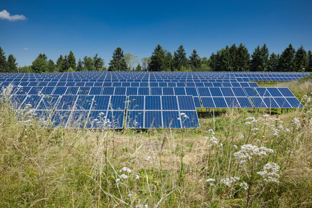 Kommun överklagar solcellspark